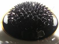 феррофлюид (магнитная жидкость)